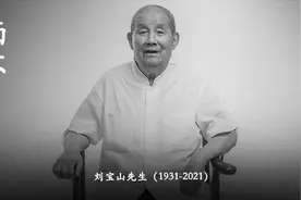 继承先祖志，勋匾挂少林！缅怀武林泰斗刘宝山先生图片
