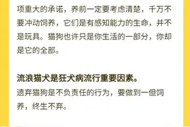 男孩因感染狂犬病身亡，生前未被咬伤，到底发生了什么？！世界狂犬病日图片