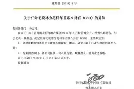 傲娇房企，花样年的迷之不躺平违约图片