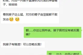 大话西游2玩家迷之自信，自己的猴精比神兽还厉害？图片