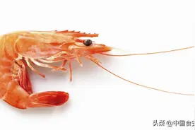 虾营养价值图片
