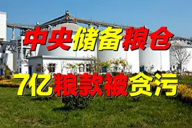 中央储备粮，28亿斤粮食被贪污？谁是幕后黑手？真相触目惊心图片