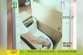 新买的“科勒”马桶，要安装时发现马桶裂了？验货照片怎么来的？视频封面