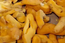 这食材很常见，一块多钱一斤，多买些放冰箱一冻再一蒸，筋道香甜图片