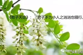 其势汹汹-荀子四字成语荀卿庠读书会整理图片