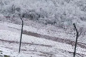 语论/网络骗子图片