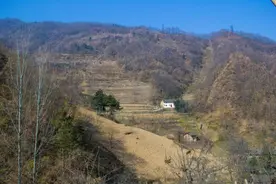 寻访秦岭龙潭村，太浪费了，这一栋老房子新打了院坝，却无人居住图片
