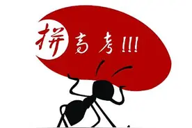 高三学生的担忧：为什么一遇考试就生病？是体质太差吗？不！图片