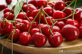 “初恋樱桃”啥味道？博爱县樱桃节电商直播卖出40万元富硒樱桃图片