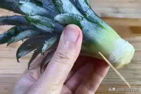 吃剩下的“菠萝头”不要扔，插3根牙签，放在家里太棒了，快学学图片