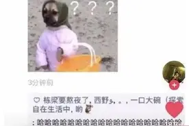 那些笑死人不偿命的神回复哈哈哈哈哈哈哈，看一次笑一次图片