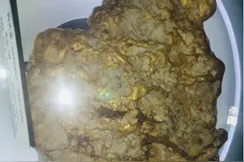 怎么寻找狗头金呢？图片