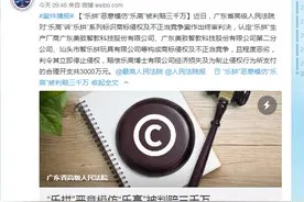 赔偿3000万！“乐高”诉“乐拼”，山寨名牌再次被从重判赔→图片