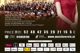 中国古典音乐家网签约艺术家杨桂琳7.9维也纳金色大厅全球巡演。图片