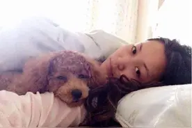 请注意！泰迪犬向你“喊救命”的7个行为，赶紧就医吧图片