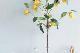 喜欢养花的人是什么性格？这5点，你肯定至少占1条图片