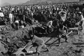 陕西一老农挖地基，意外发现一堆人骨，8年后中央调查组来找图片