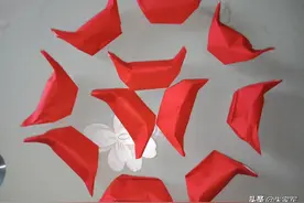 2020正月第一坑。来自红纸的变异！图片