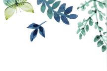 自驾车前往山西的芦芽山图片
