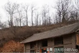 山西大叔深山捡回2只”小野猫“，长大能看家护院，到底是个啥图片