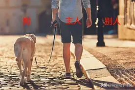 养了八年的金毛突然发疯咬伤主人，遭遇狗撕咬，我们该如何自救？图片