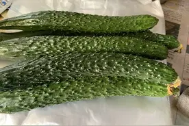 买黄瓜时，挑直的还是弯的？老菜农：牢记这5点，就不会买错了图片