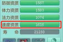 《神武4》电脑版：单法宝宝的克星 速攻暴力剑气宠物打造指南图片
