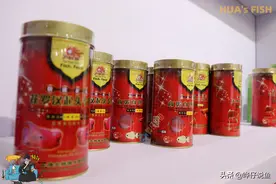 如何选择鱼粮？为观赏鱼选择口粮，有时挺烧脑图片