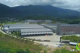 华安县发展和改革局：乘势而上 开启新征程图片