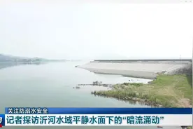 关注防溺水安全‖记者探访沂河水域平静水面下的“暗流涌动”图片