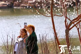 乌鲁木齐经济技术开发区（头屯河区）：小绿谷山花烂漫图片