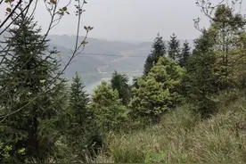 武术与功夫图片