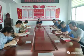 团市委党支部开展6月份主题党日活动图片