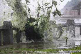 江苏连云港：“烟花”发威 巨浪滔天图片