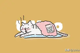 做好这8点，让猫咪安全过夏天图片