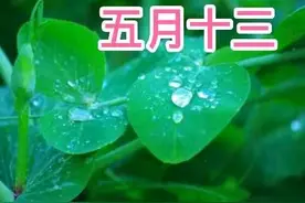今天五月十三，俗语“不怕五月十三雨，最怕五月十三晴”，为啥？图片