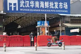 追踪“零号病人”：剖析新冠病毒的新头绪图片