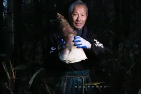 上过《舌尖》的遂昌竹笋，明代已是贡品，最好的笋点仅少数人知道图片
