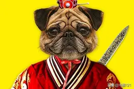 35 大学往事-单身与狗的恩怨情仇图片
