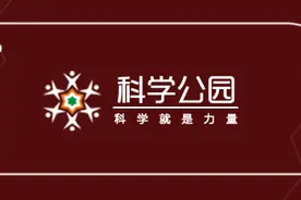 背负星辰的，是世界上最大的鱼图片