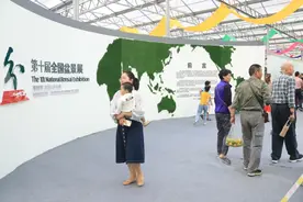 盆景届顶级盛会，第十届全国盆景展在沭阳国际花木城举办图片
