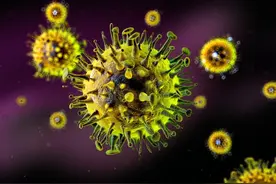 特立独行、外貌奇特的噬菌体，真是病毒中的一股“清流”图片