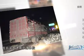 法治天下 | 两个孩子的抚养权，亲家之间矛盾怎样化解？两个孩子又该何去何从？图片