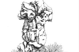 针管笔景观石画法图片