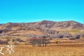 「周三」原创诗词歌赋鉴赏一图片