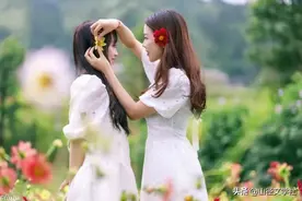 散文《欣赏的力量》（山径刘克勤）图片