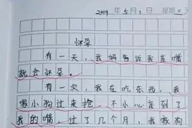 小学生作文《怀孕》走红，老师阅卷时笑得流眼泪：知道负责就好图片