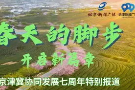 携手京津 聚力传播 河北广播电视台全媒体系列报道"晒"出七年京津冀协同发展"成绩单"图片