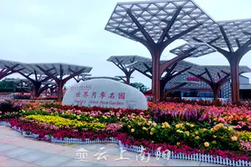 南阳世界月季大观园：花海飘香惹人醉  游人如织不思归图片