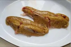 鱼籽烹饪好后营养美味，但是什么鱼籽能吃，什么不能吃你知道吗图片